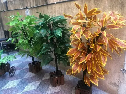 [IndoorDecor0004] IndoorDecor0004