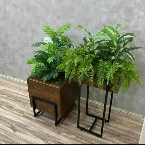 [IndoorDecor0005] IndoorDecor0005